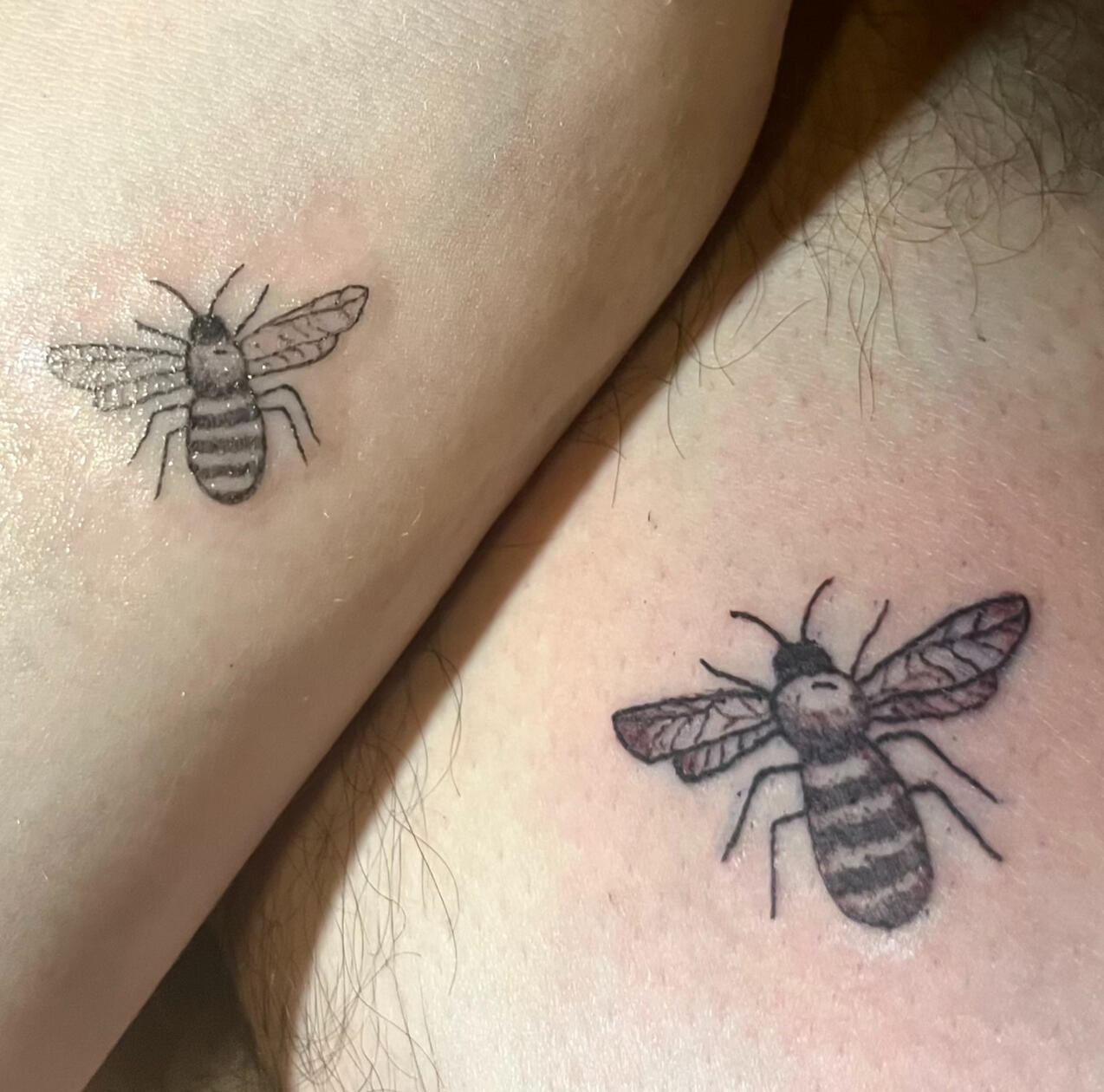 bees